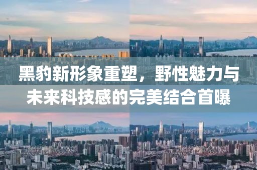 黑豹新形象重塑，野性魅力与未来科技感的完美结合首曝