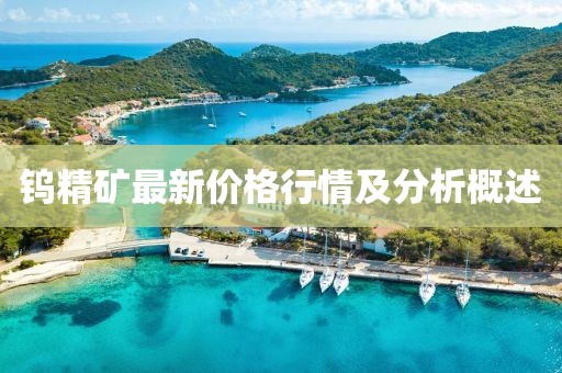 钨精矿最新价格行情及分析概述