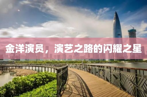 金洋演员，演艺之路的闪耀之星