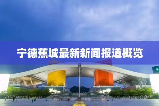 宁德蕉城最新新闻报道概览