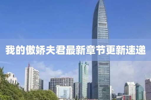 我的傲娇夫君最新章节更新速递