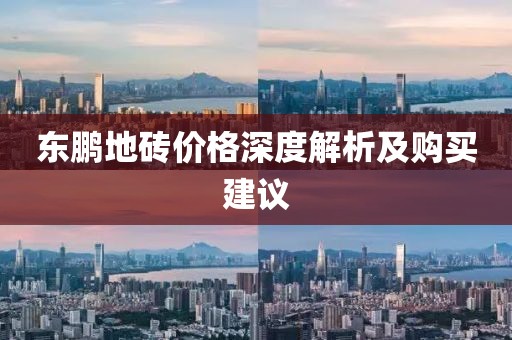 东鹏地砖价格深度解析及购买建议