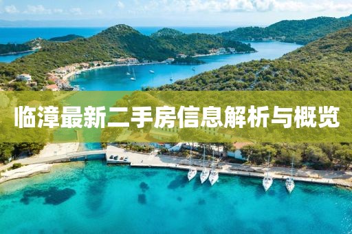 临漳最新二手房信息解析与概览