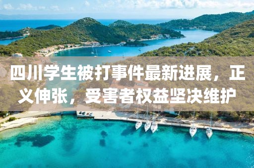 四川学生被打事件最新进展，正义伸张，受害者权益坚决维护