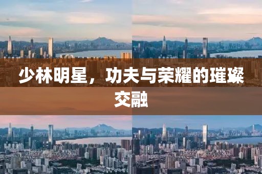 少林明星，功夫与荣耀的璀璨交融