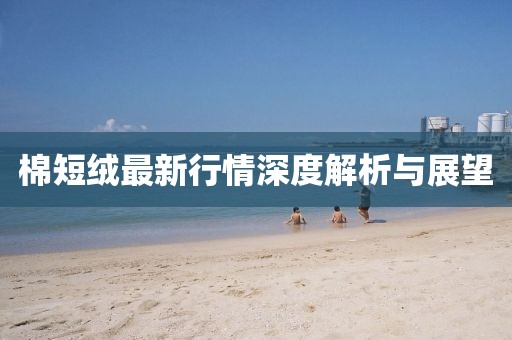 棉短绒最新行情深度解析与展望