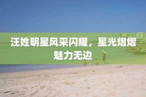 汪姓明星风采闪耀，星光熠熠魅力无边