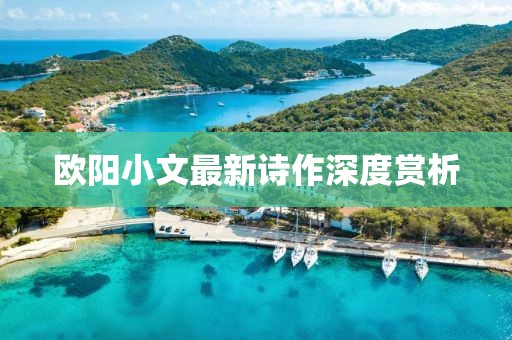 欧阳小文最新诗作深度赏析