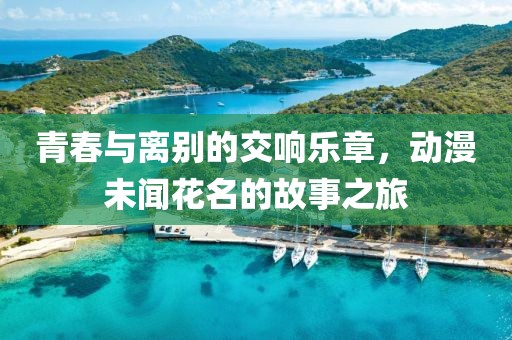青春与离别的交响乐章，动漫未闻花名的故事之旅