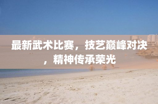 最新武术比赛，技艺巅峰对决，精神传承荣光