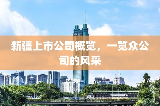 新疆上市公司概览，一览众公司的风采