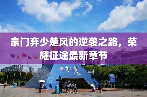 豪门弃少楚风的逆袭之路，荣耀征途最新章节