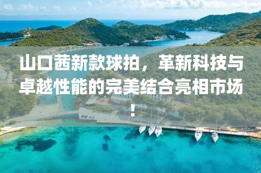 山口茜新款球拍，革新科技与卓越性能的完美结合亮相市场！