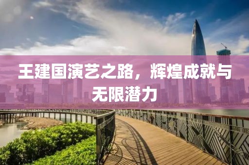 王建国演艺之路，辉煌成就与无限潜力