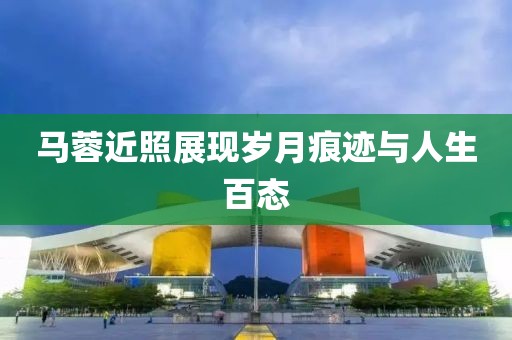 马蓉近照展现岁月痕迹与人生百态
