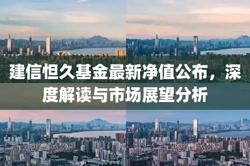 建信怛久基金最新净值公布，深度解读与市场展望分析