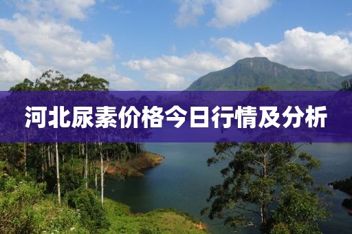 河北尿素价格今日行情及分析