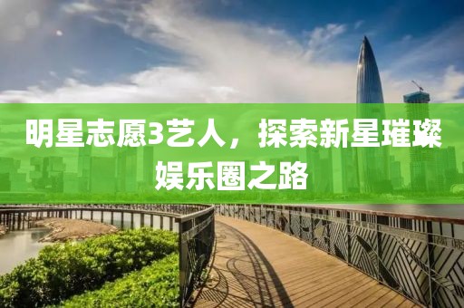明星志愿3艺人，探索新星璀璨娱乐圈之路