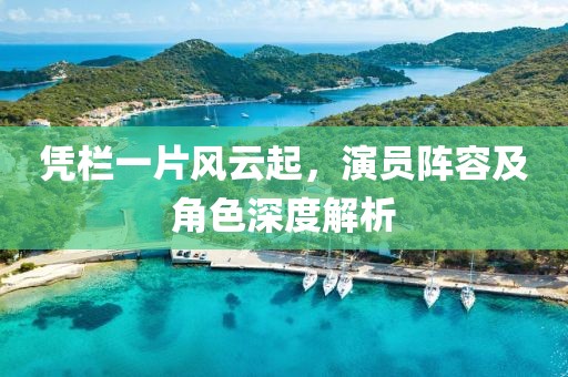 凭栏一片风云起，演员阵容及角色深度解析