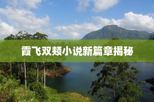 霞飞双颊小说新篇章揭秘