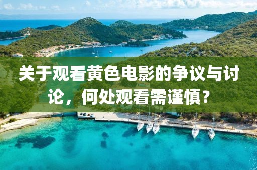 关于观看黄色电影的争议与讨论，何处观看需谨慎？