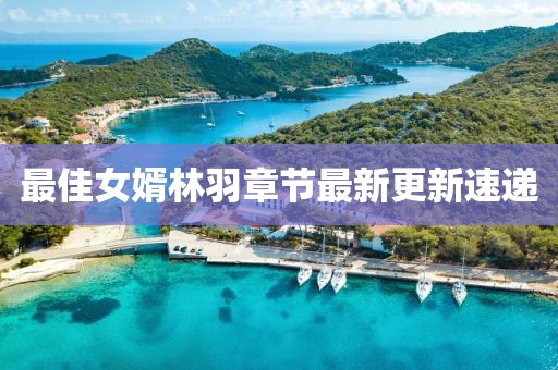 最佳女婿林羽章节最新更新速递