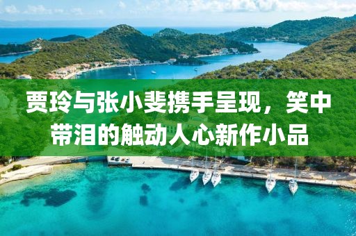 贾玲与张小斐携手呈现，笑中带泪的触动人心新作小品