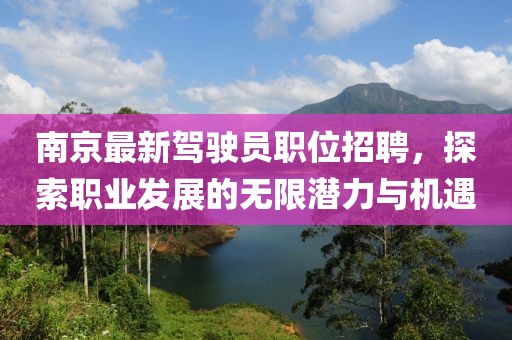 南京最新驾驶员职位招聘，探索职业发展的无限潜力与机遇