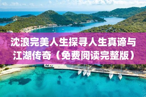沈浪完美人生探寻人生真谛与江湖传奇（免费阅读完整版）