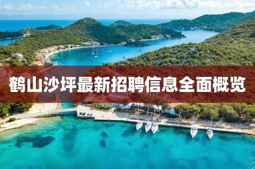 鹤山沙坪最新招聘信息全面概览