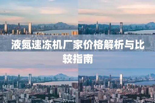 液氮速冻机厂家价格解析与比较指南