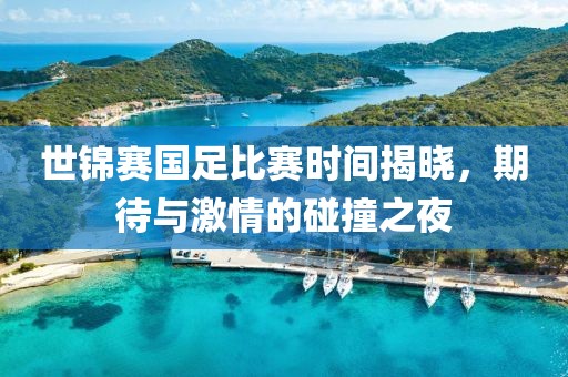 世锦赛国足比赛时间揭晓，期待与激情的碰撞之夜