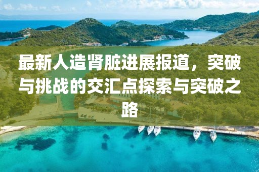 最新人造肾脏进展报道，突破与挑战的交汇点探索与突破之路