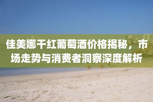 佳美娜干红葡萄酒价格揭秘，市场走势与消费者洞察深度解析