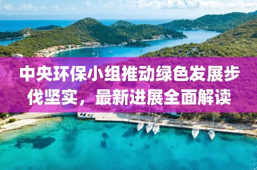 中央环保小组推动绿色发展步伐坚实，最新进展全面解读