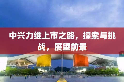 中兴力维上市之路，探索与挑战，展望前景