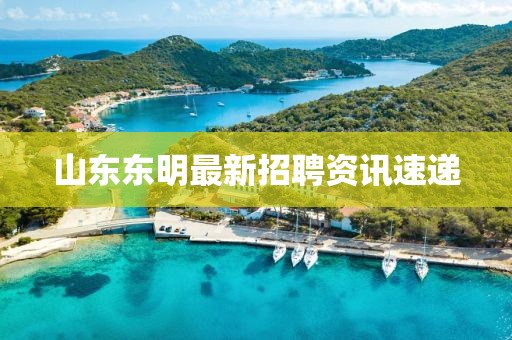 山东东明最新招聘资讯速递