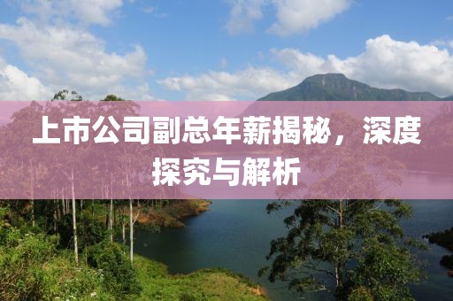 上市公司副总年薪揭秘，深度探究与解析