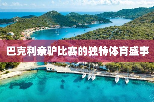 巴克利亲驴比赛的独特体育盛事
