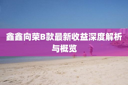 鑫鑫向荣B款最新收益深度解析与概览