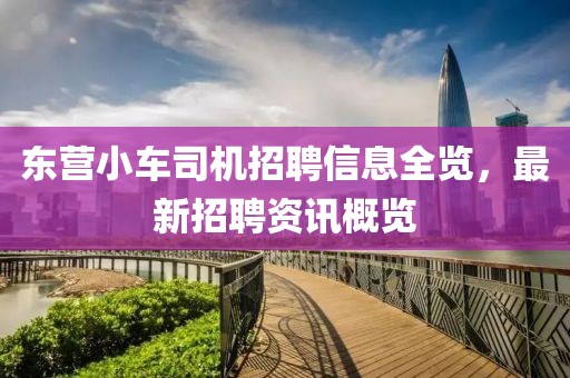 东营小车司机招聘信息全览，最新招聘资讯概览
