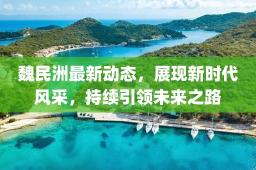 魏民洲最新动态，展现新时代风采，持续引领未来之路