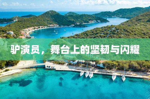 驴演员，舞台上的坚韧与闪耀