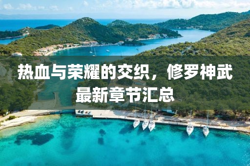 热血与荣耀的交织，修罗神武最新章节汇总