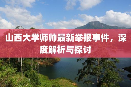 山西大学师帅最新举报事件，深度解析与探讨