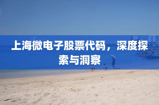 上海微电子股票代码，深度探索与洞察