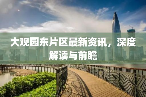 大观园东片区最新资讯，深度解读与前瞻