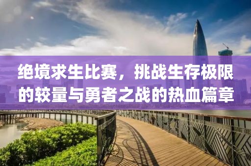 绝境求生比赛，挑战生存极限的较量与勇者之战的热血篇章