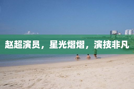 赵超演员，星光熠熠，演技非凡
