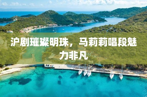 沪剧璀璨明珠，马莉莉唱段魅力非凡